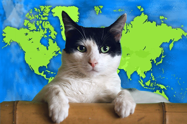 EBABA Danışmanlık, Genişleme Stratejisi Kapsamında Yeni Pazarlara Açılıyor